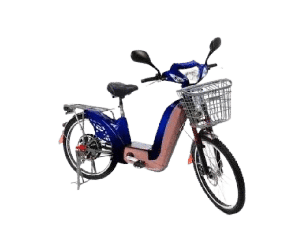 bike sousa